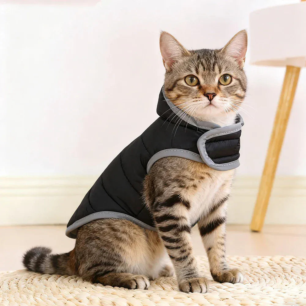 Reflective Pet Clothes | Reversible Kitten Jacket & Winter Fleece Coat | Warm Cat Costume for Small Cats & Sphynx