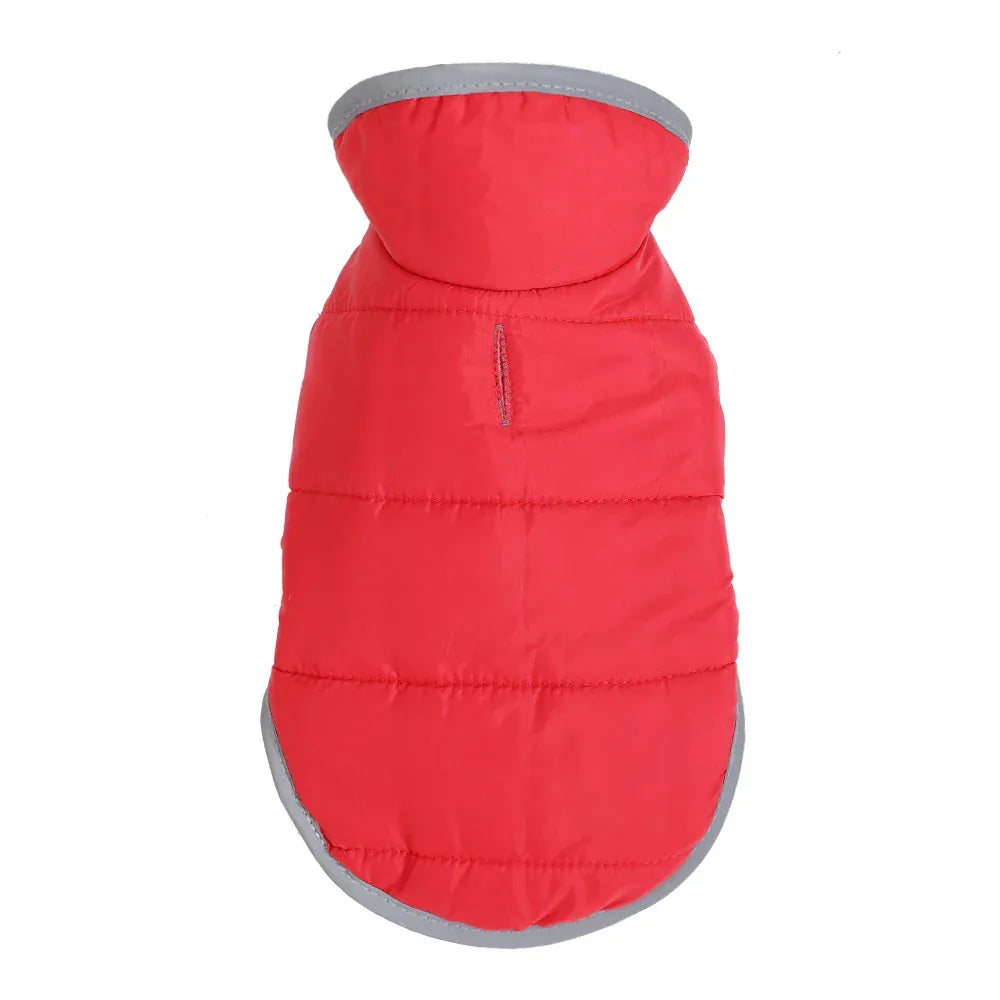 Reflective Pet Clothes | Reversible Kitten Jacket & Winter Fleece Coat | Warm Cat Costume for Small Cats & Sphynx