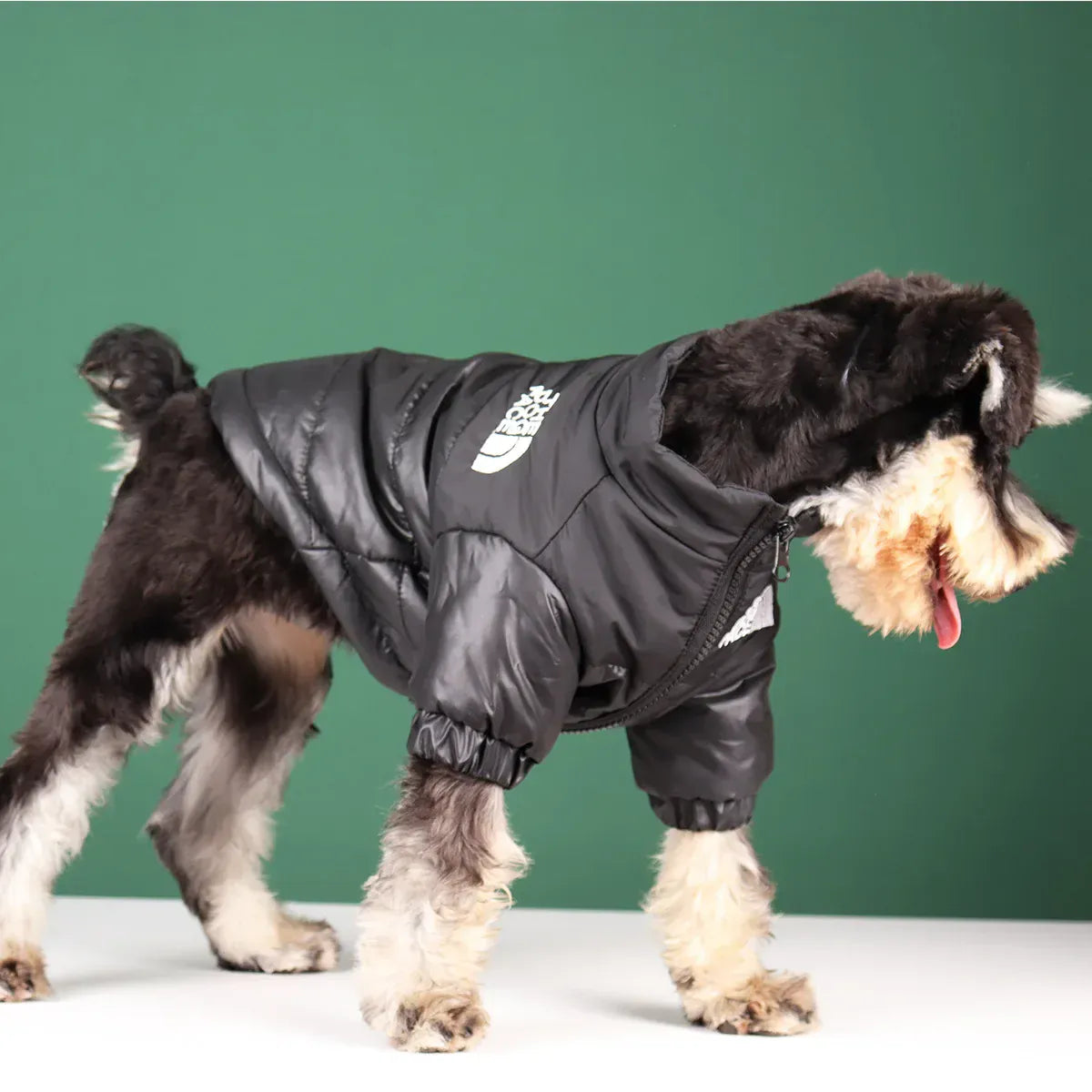 Reflective Winter Dog Jacket | Windproof Warm Coat for French Bulldogs, Chihuahuas & Medium Dogs | Waterproof Pet Outfits