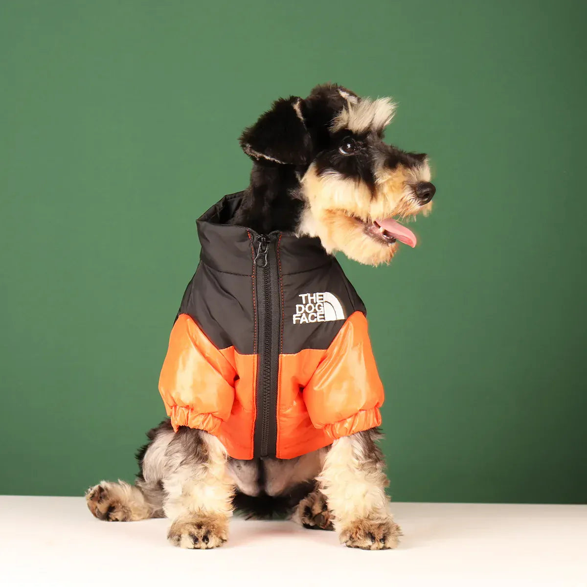 Reflective Winter Dog Jacket | Windproof Warm Coat for French Bulldogs, Chihuahuas & Medium Dogs | Waterproof Pet Outfits