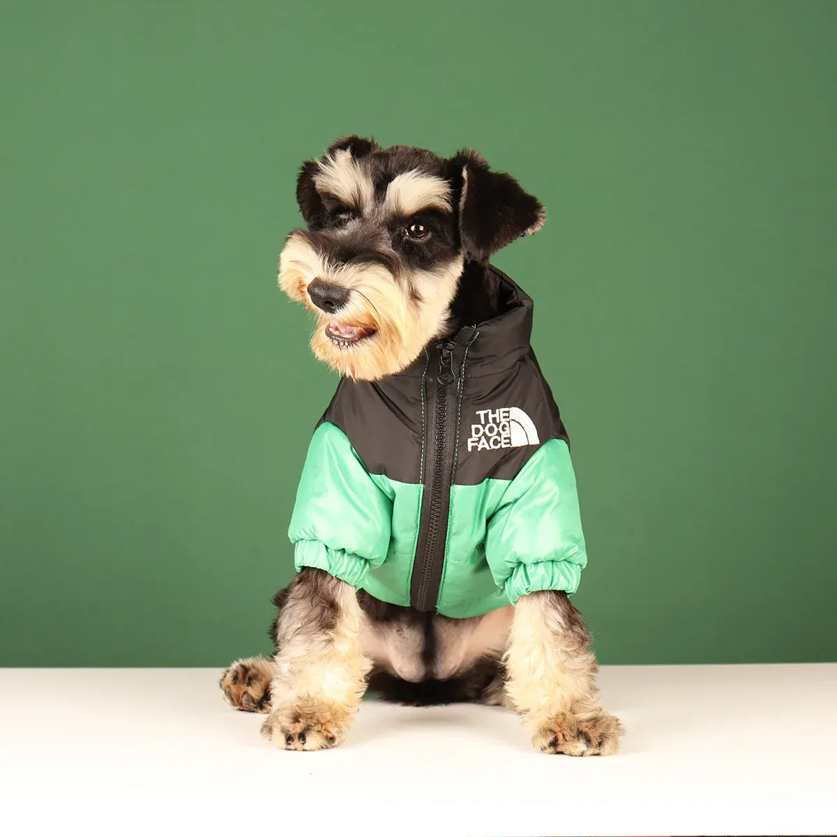 Reflective Winter Dog Jacket | Windproof Warm Coat for French Bulldogs, Chihuahuas & Medium Dogs | Waterproof Pet Outfits