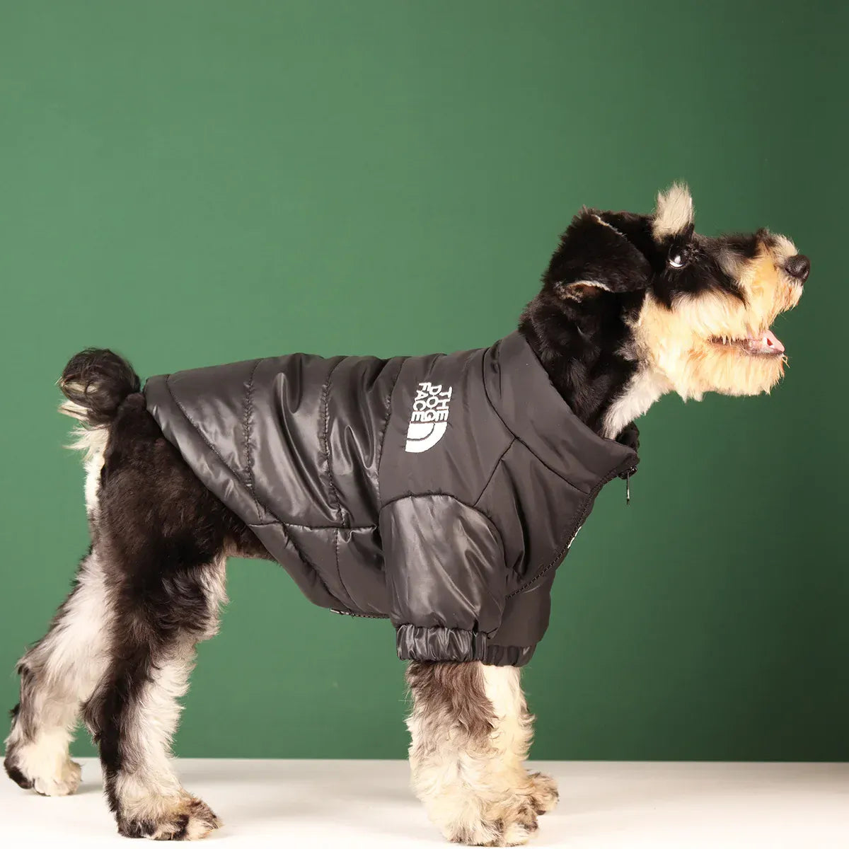Reflective Winter Dog Jacket | Windproof Warm Coat for French Bulldogs, Chihuahuas & Medium Dogs | Waterproof Pet Outfits