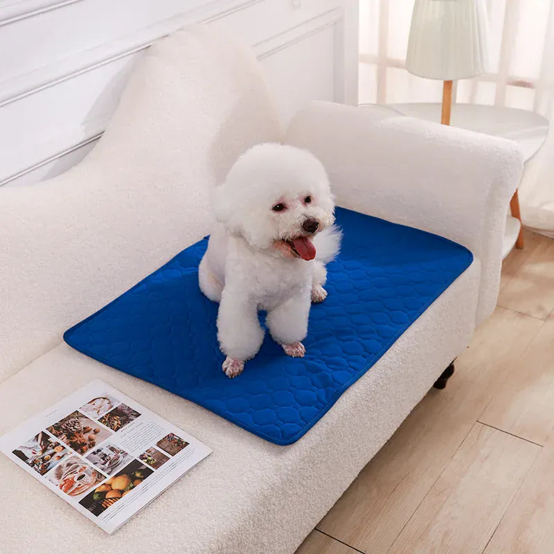 Reusable Dog Pee Pad - Washable Absorbent Puppy Training Mat Waterproof