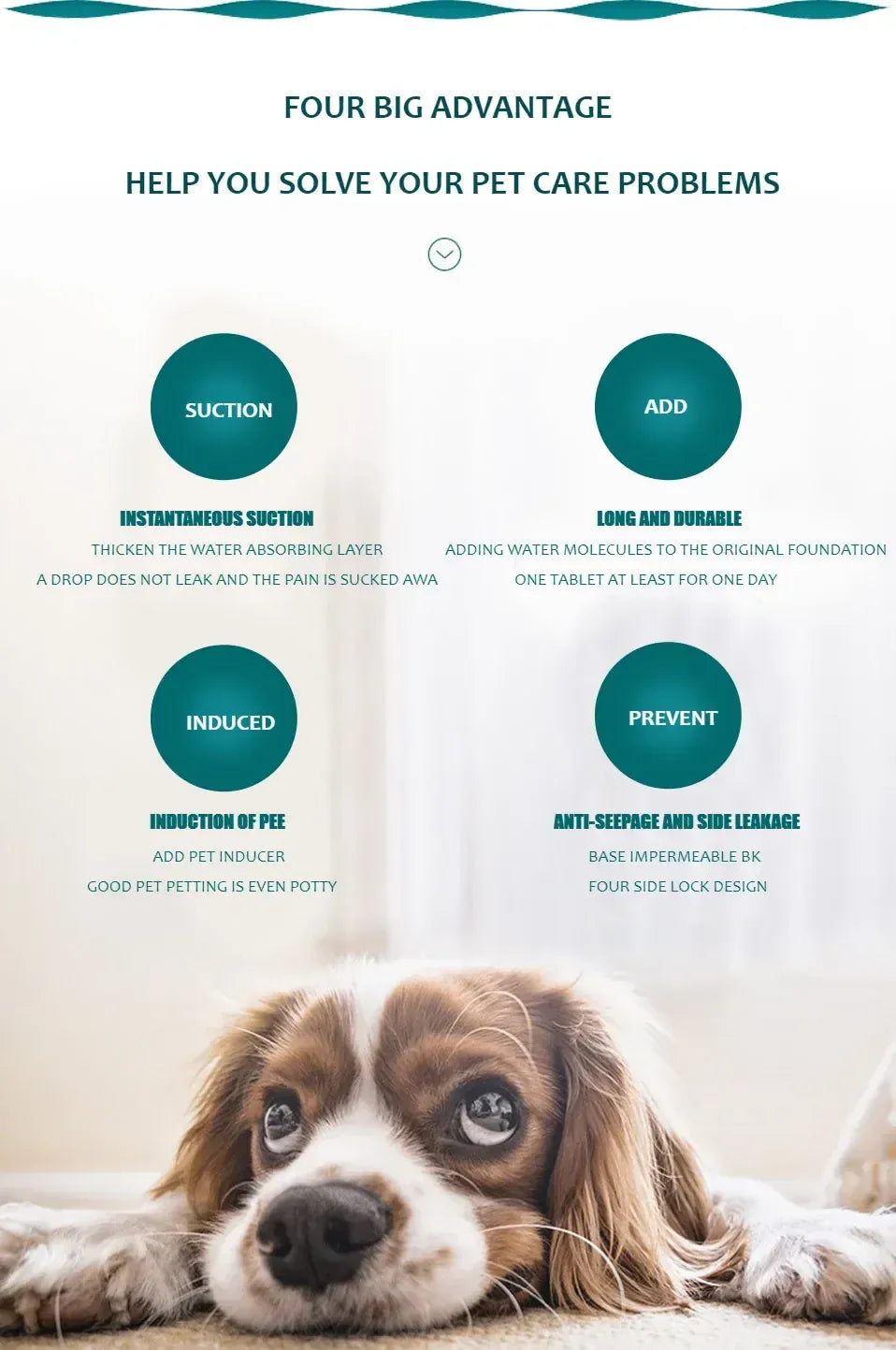 Reusable Dog Pee Pad - Washable Absorbent Puppy Training Mat Waterproof