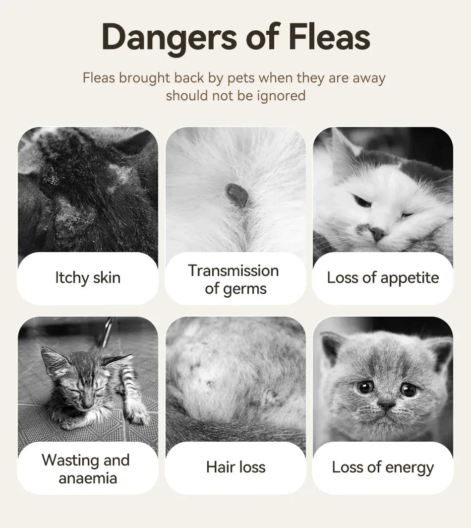 ROJECO Electric Flea Comb | Anti-Lice & Flea Removal Brush for Dogs & Cats | Multifunctional Hair Cleaner