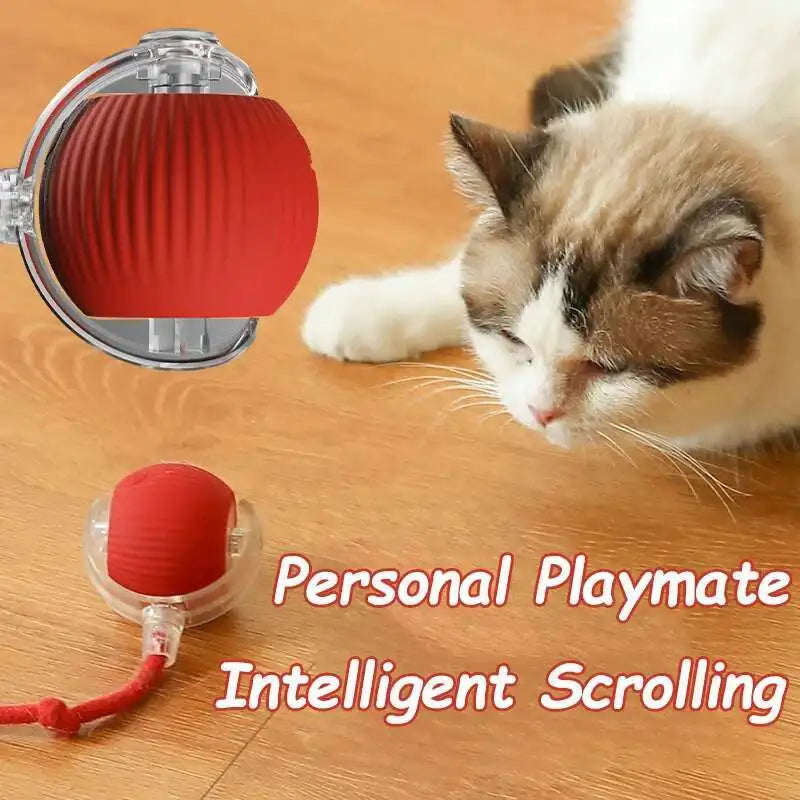 Smart Interactive Pet Ball - Automatic Rolling Rechargeable Toy for Dogs Cats