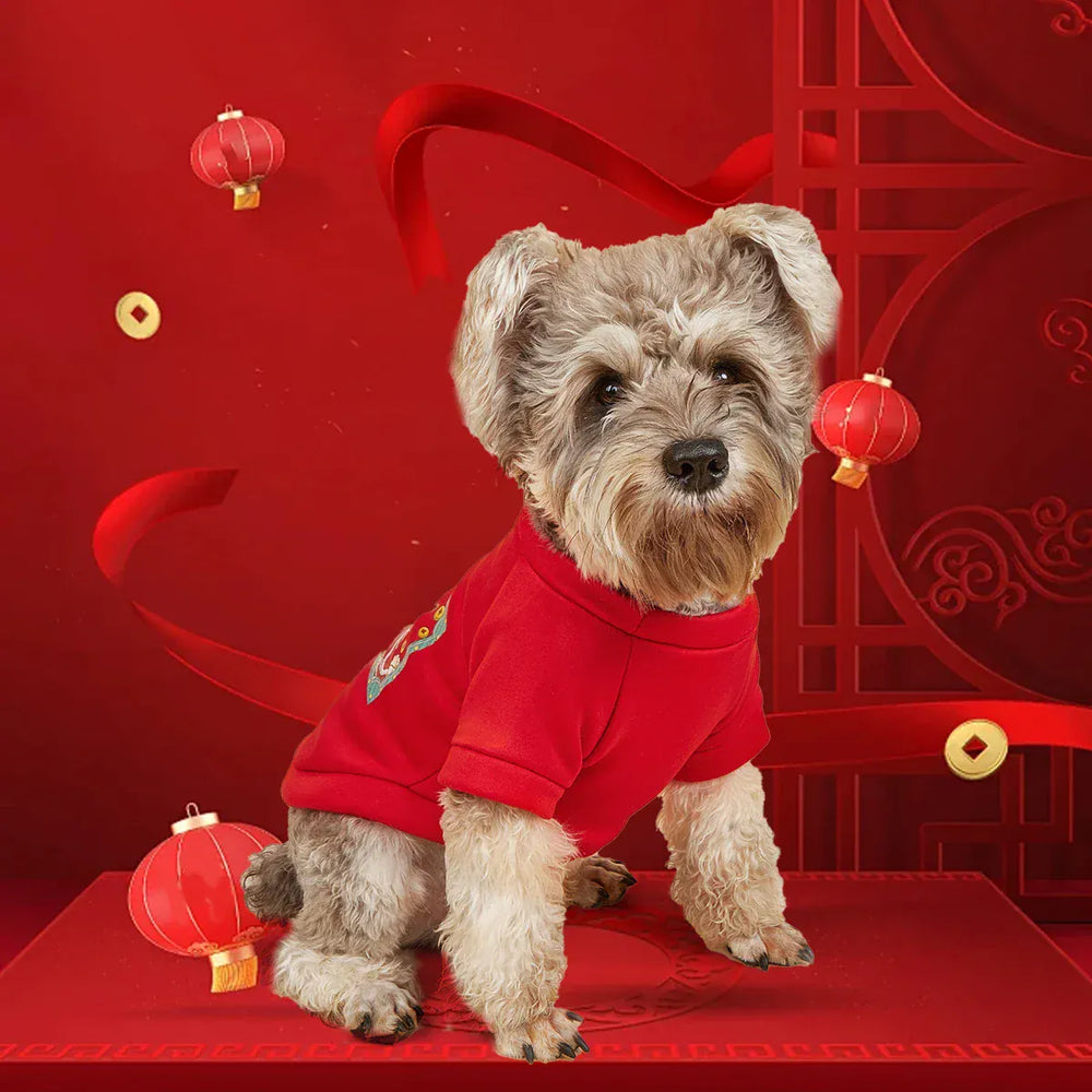 Solid Color Pet Hoodie - Two-Legged Winter Sweatshirt for Cats & Puppies