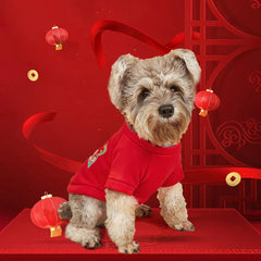 Solid Color Pet Hoodie - Two-Legged Winter Sweatshirt for Cats & Puppies