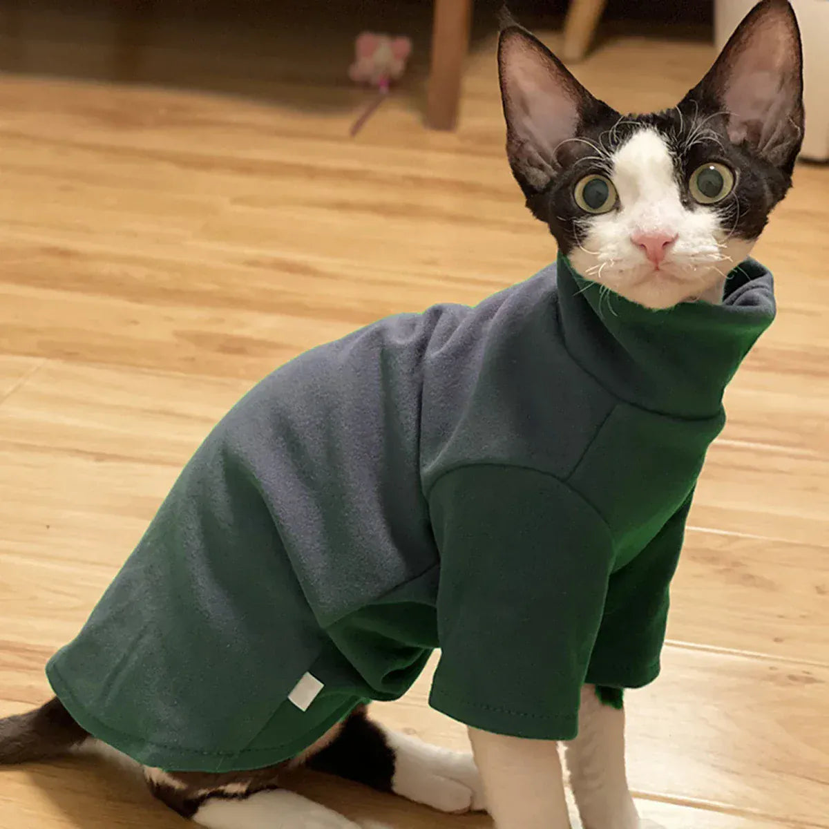 Sphynx Cat Clothes - Soft Cotton Fall & Winter Outfit | Hairless Cat Clothing for Cornish & Devon Cats | Cozy Kitten Costume for Small Dogs