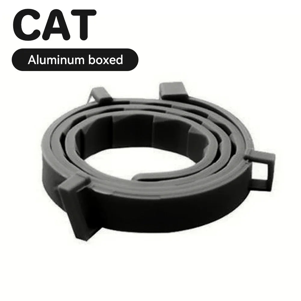 Transparent Cat Carrier Backpack – Bubble Window Pet Travel Bag for Small Dogs & Cats