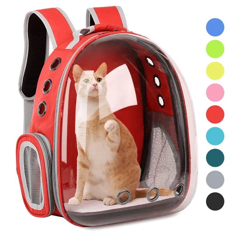 Transparent Cat Carrier Backpack – Bubble Window Pet Travel Bag for Small Dogs & Cats