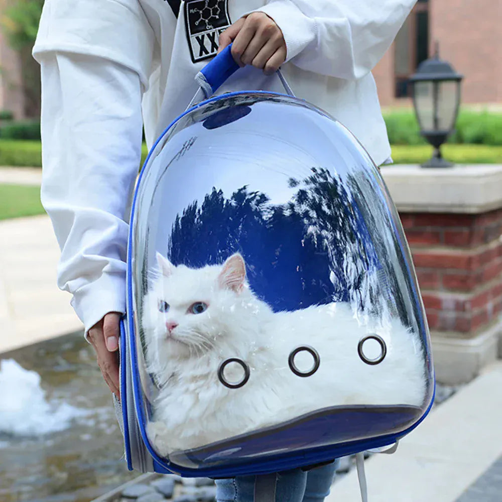 Transparent Cat Carrier Backpack – Bubble Window Pet Travel Bag for Small Dogs & Cats