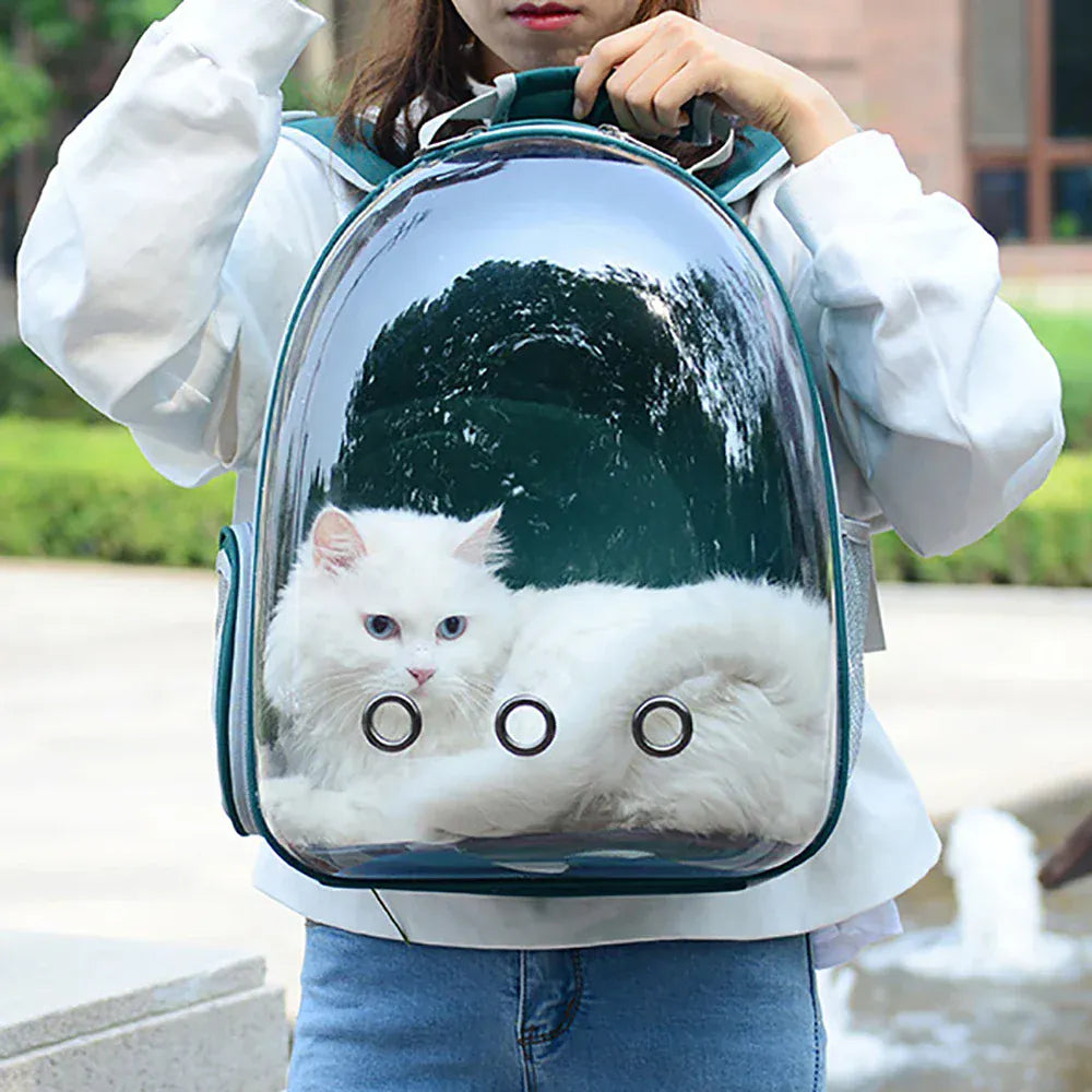 Transparent Cat Carrier Backpack – Bubble Window Pet Travel Bag for Small Dogs & Cats