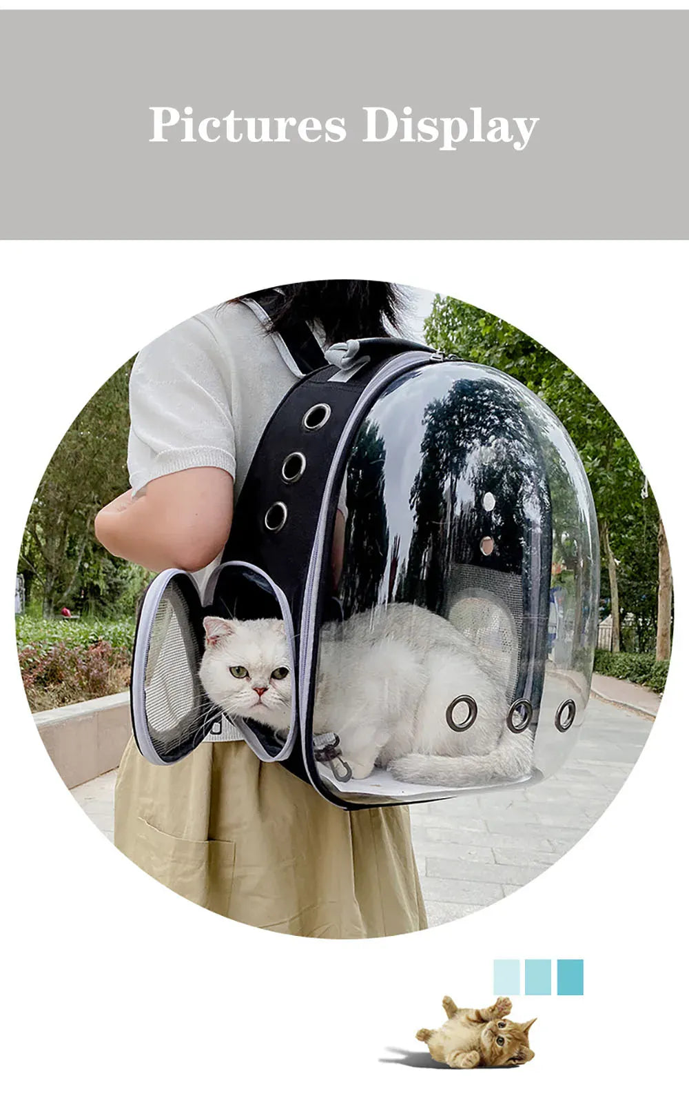 Transparent Cat Carrier Backpack – Bubble Window Pet Travel Bag for Small Dogs & Cats