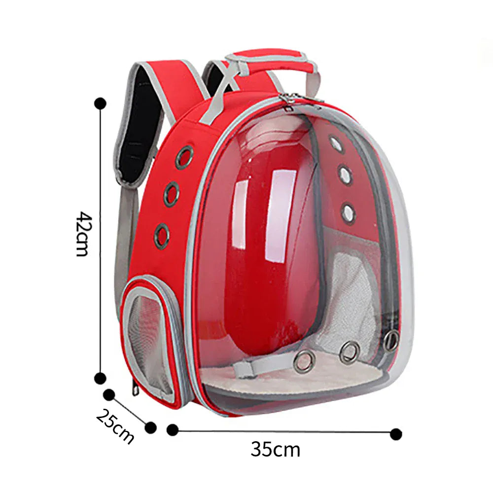 Transparent Cat Carrier Backpack – Bubble Window Pet Travel Bag for Small Dogs & Cats