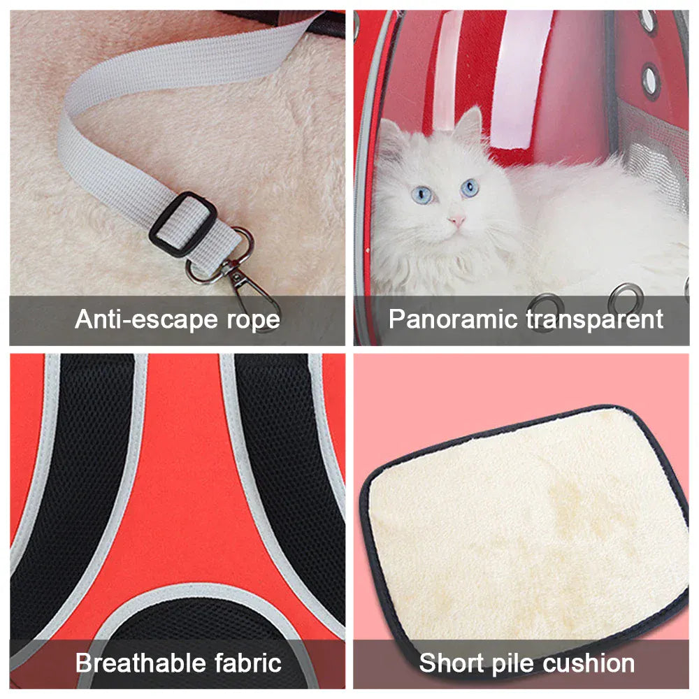 Transparent Cat Carrier Backpack – Bubble Window Pet Travel Bag for Small Dogs & Cats