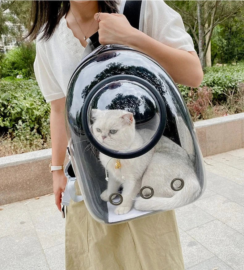Transparent Cat Carrier Backpack – Bubble Window Pet Travel Bag for Small Dogs & Cats