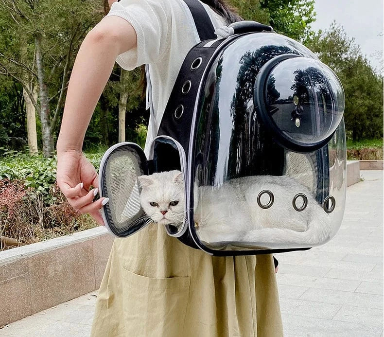 Transparent Cat Carrier Backpack – Bubble Window Pet Travel Bag for Small Dogs & Cats