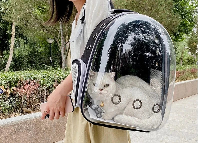 Transparent Cat Carrier Backpack – Bubble Window Pet Travel Bag for Small Dogs & Cats