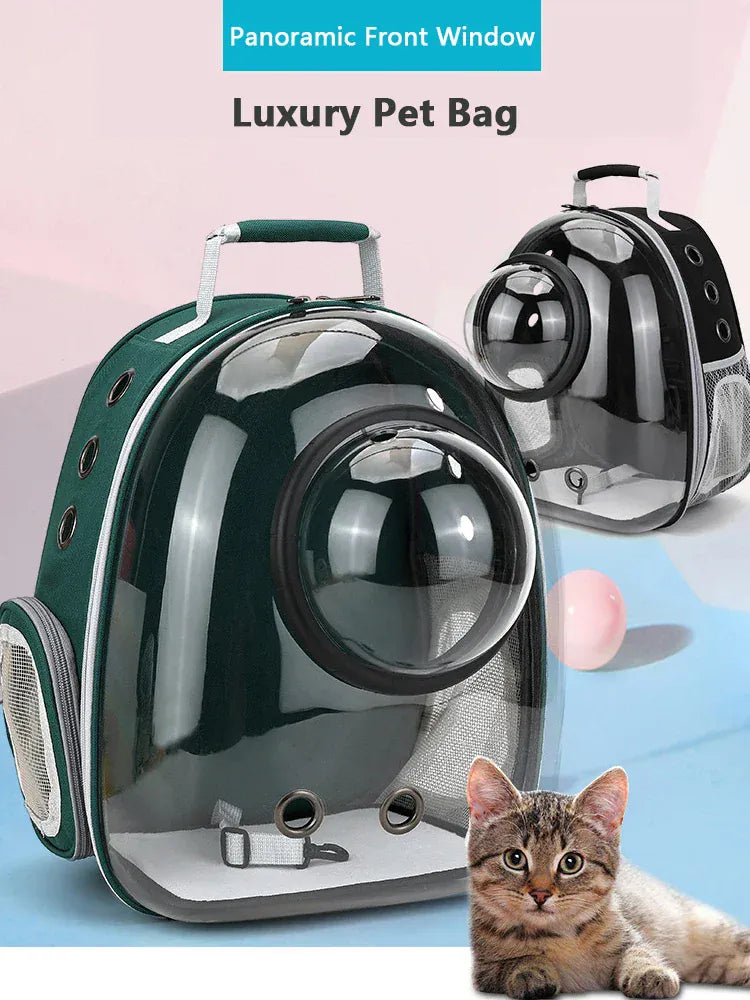 Transparent Cat Carrier Backpack – Bubble Window Pet Travel Bag for Small Dogs & Cats