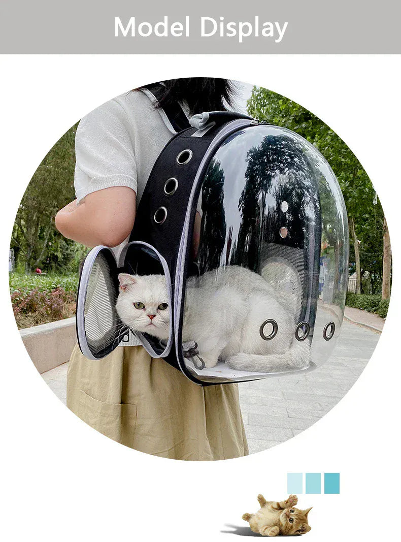Transparent Cat Carrier Backpack – Bubble Window Pet Travel Bag for Small Dogs & Cats