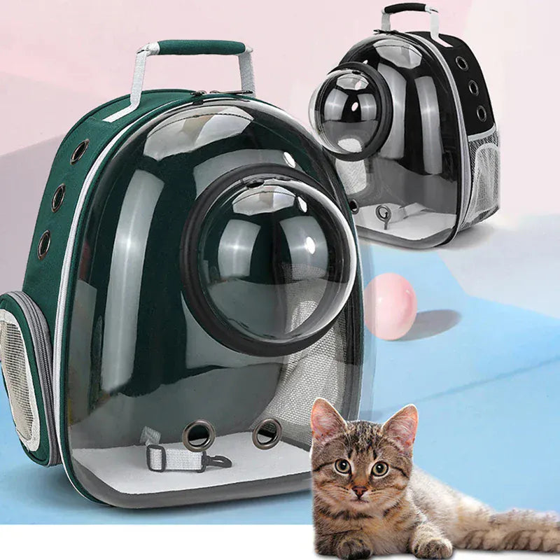 Transparent Cat Carrier Backpack – Bubble Window Pet Travel Bag for Small Dogs & Cats