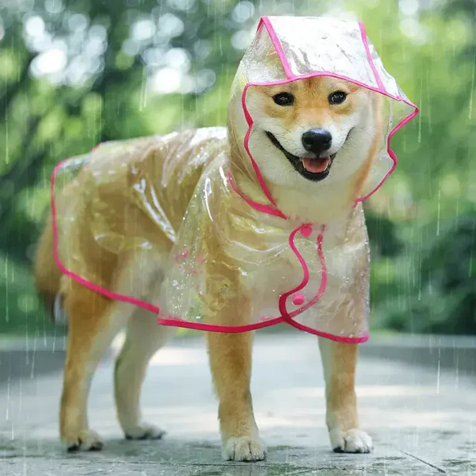 Transparent Dog Raincoat – Waterproof Hooded Rainwear for Small Dogs | Soft PVC Puppy Rain Poncho | Lightweight Pet Jacket