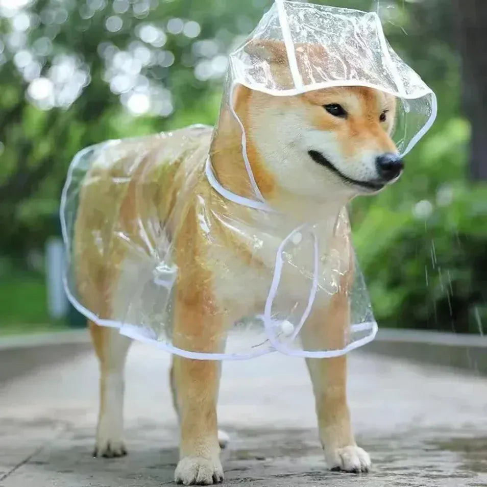 Transparent Dog Raincoat – Waterproof Hooded Rainwear for Small Dogs | Soft PVC Puppy Rain Poncho | Lightweight Pet Jacket