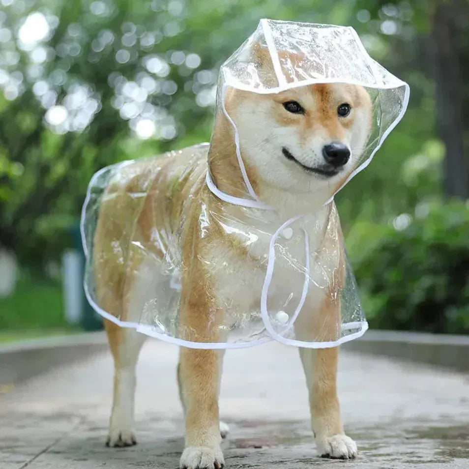 Transparent Dog Raincoat – Waterproof Hooded Rainwear for Small Dogs | Soft PVC Puppy Rain Poncho | Lightweight Pet Jacket
