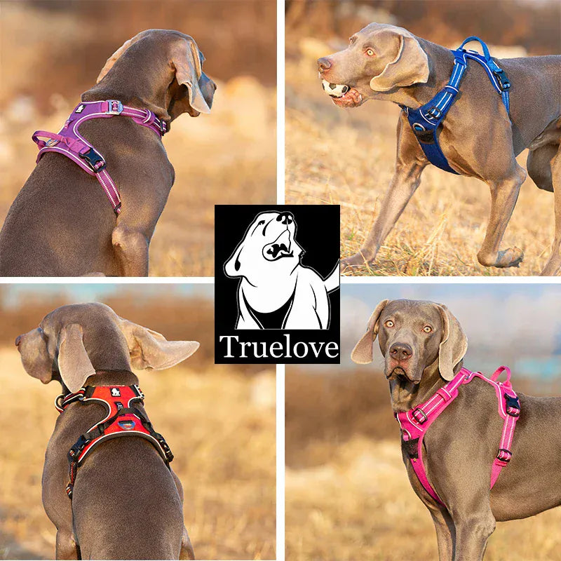 Truelove No-Pull Dog Harness - Reflective Safety Vest with 4 Adjustment Points