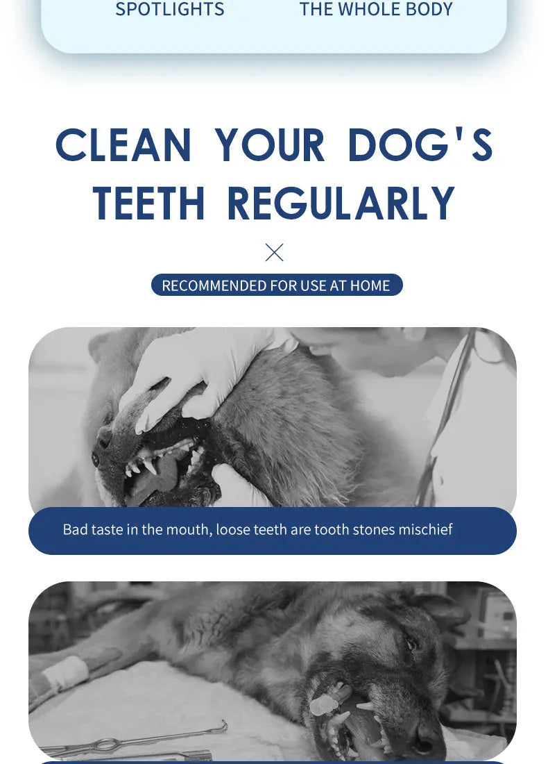 Ultrasonic Electric Dog Toothbrush | Professional Pet Plaque & Tartar Remover | Teeth Whitening & Dental Care