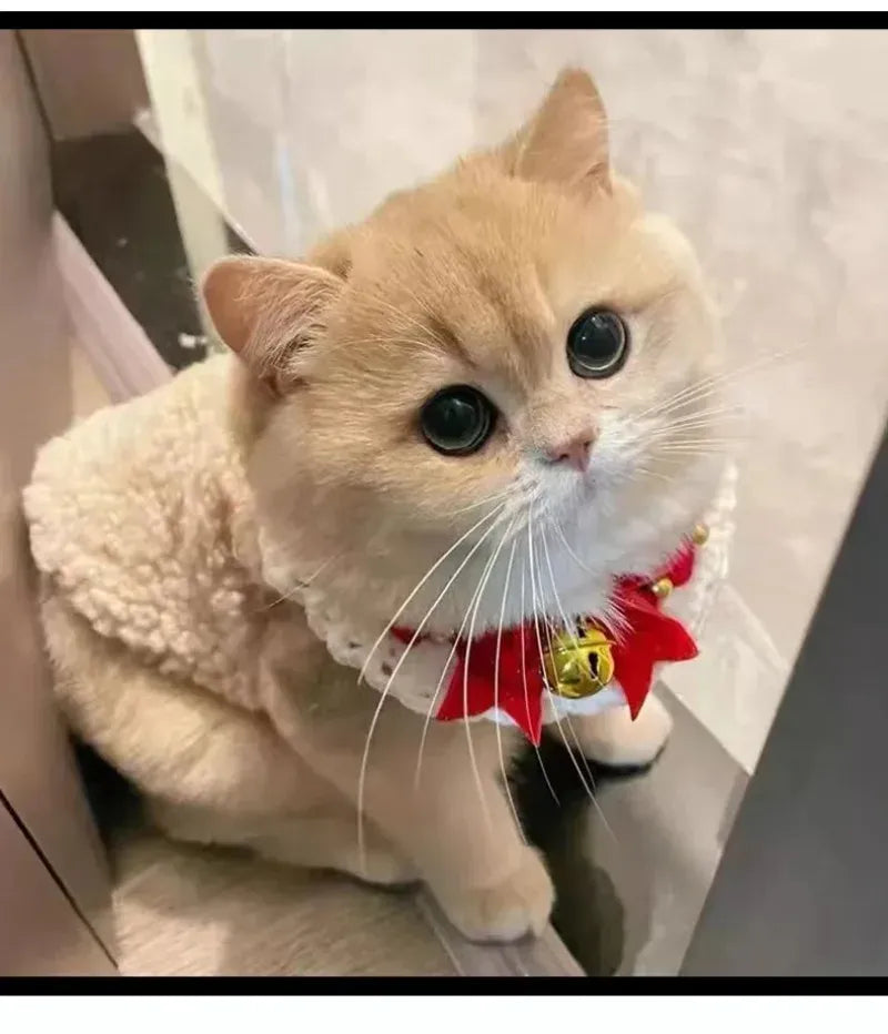 Warm Lambhair Fleece Cat Clothes | Soft Cozy Winter Vest for Cats & Puppies | Kitten Jacket Coat | Pet Sphynx Costume Sweater 고양이