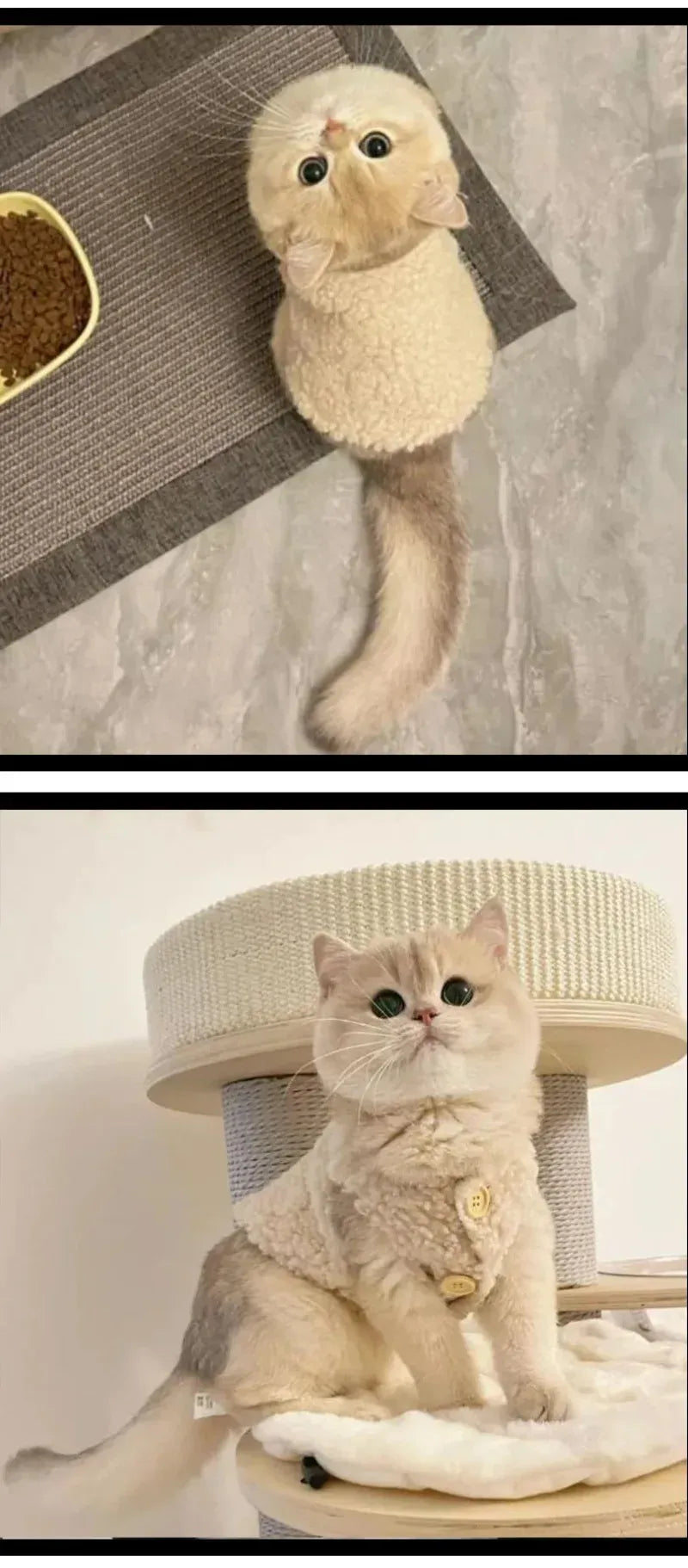 Warm Lambhair Fleece Cat Clothes | Soft Cozy Winter Vest for Cats & Puppies | Kitten Jacket Coat | Pet Sphynx Costume Sweater 고양이