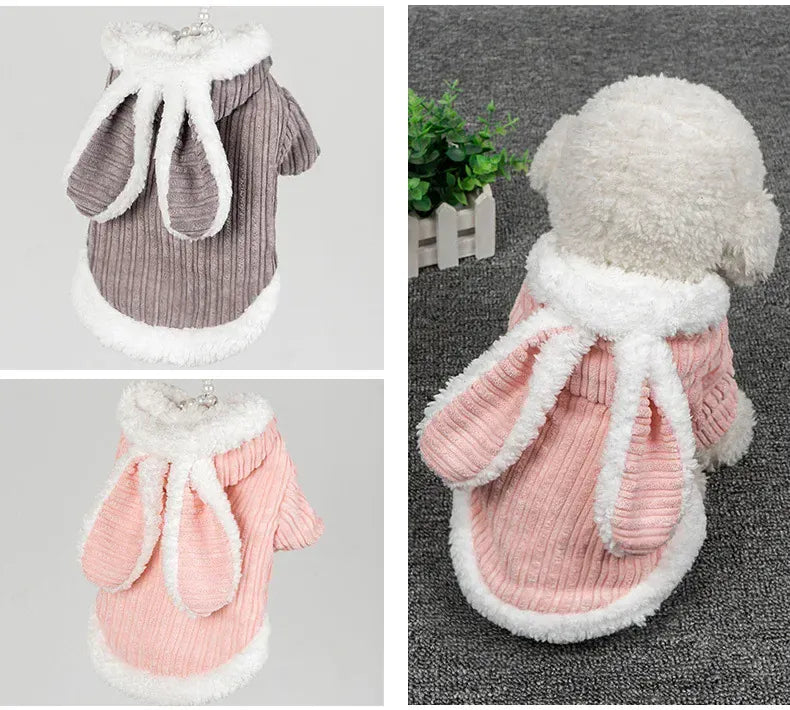 Warm Winter Bunny Cat Clothes | Cute Kitten Coat for Cats & Puppies | Soft Fleece Pet Outfit for Small Pets