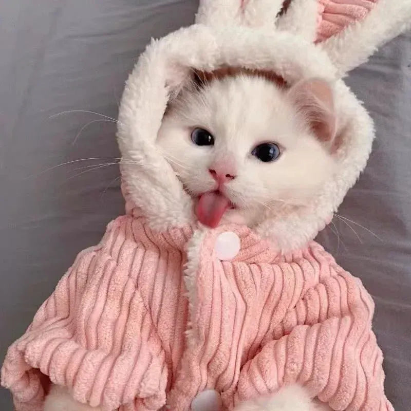Warm Winter Bunny Cat Clothes | Cute Kitten Coat for Cats & Puppies | Soft Fleece Pet Outfit for Small Pets