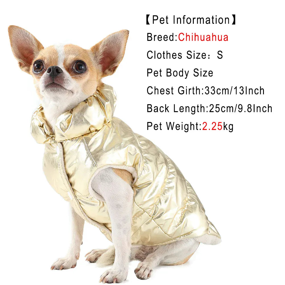 Waterproof Cat Coat with D-Ring - Windproof Winter Jacket for Dogs & Cats