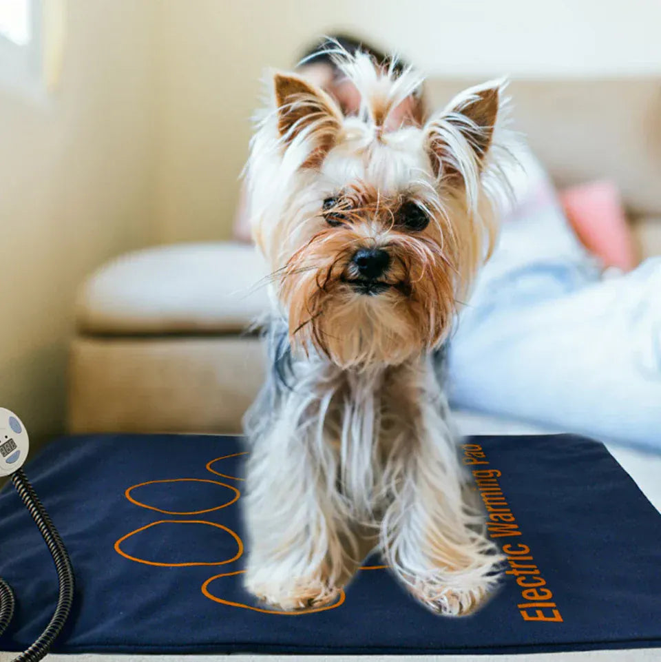 Waterproof Pet Heating Pad - Electric Winter Warmer Blanket 45×60cm