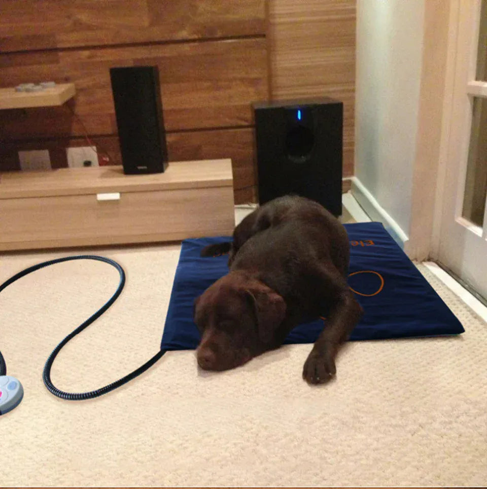 Waterproof Pet Heating Pad - Electric Winter Warmer Blanket 45×60cm