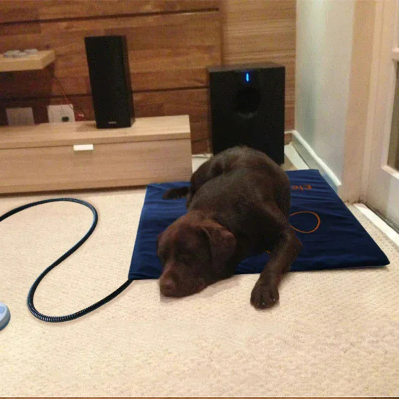 Waterproof Pet Heating Pad - Electric Winter Warmer Blanket 45×60cm