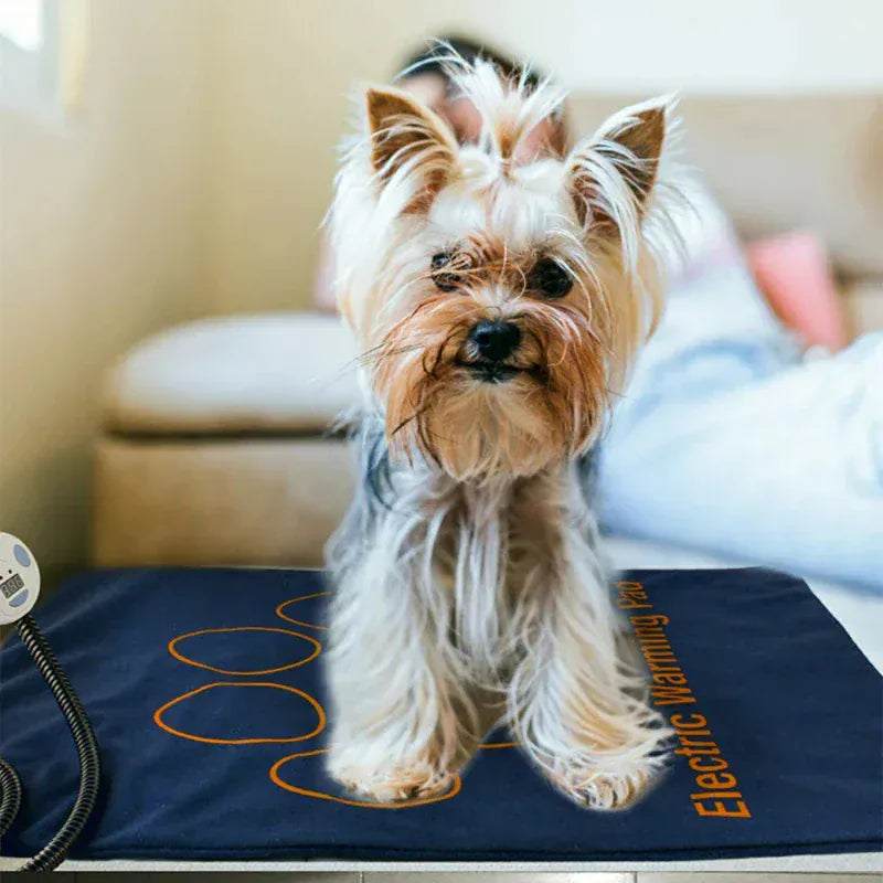 Waterproof Pet Heating Pad - Electric Winter Warmer Blanket 45×60cm