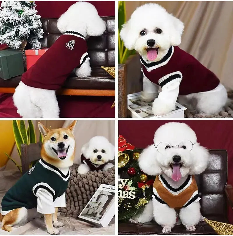 Winter Dog Sweater | College Style V-neck Knitwear for Small Dogs & Puppies – Cozy Puppy Vest & Kitty Jacket
