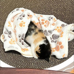 Winter Pet Blanket with Paw Print - Cozy Thicken Fleece Mat for Cats & Dogs