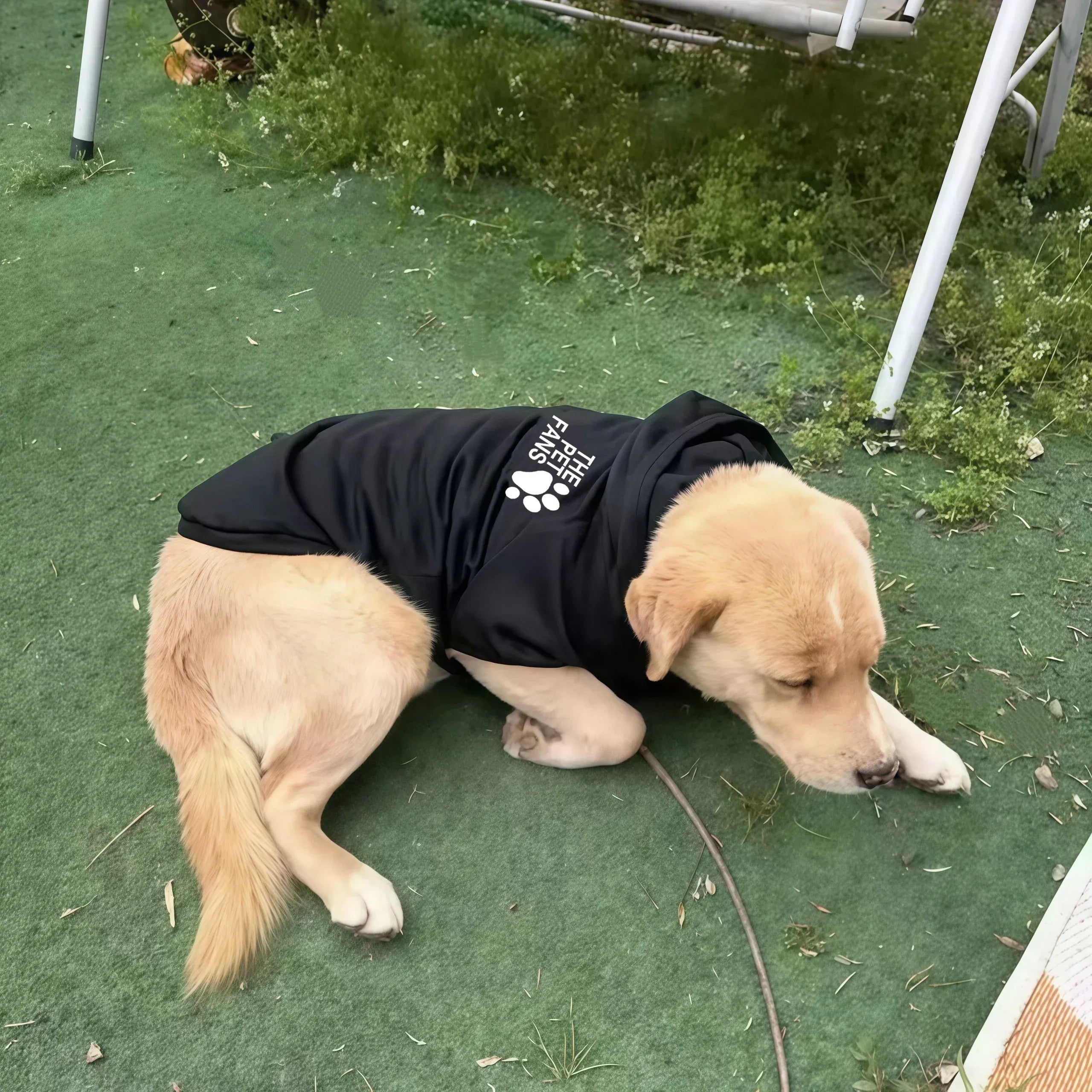 Winter Sports Dog Hoodie | Outdoor Warm Coat for Golden Retriever, Labrador & Large Dogs | Fashionable Autumn/Winter Pet Clothes