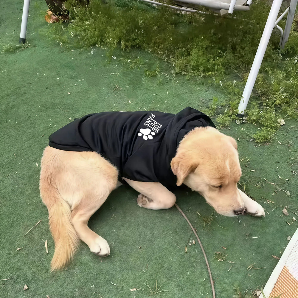 Winter Sports Dog Hoodie | Outdoor Warm Coat for Golden Retriever, Labrador & Large Dogs | Fashionable Autumn/Winter Pet Clothes