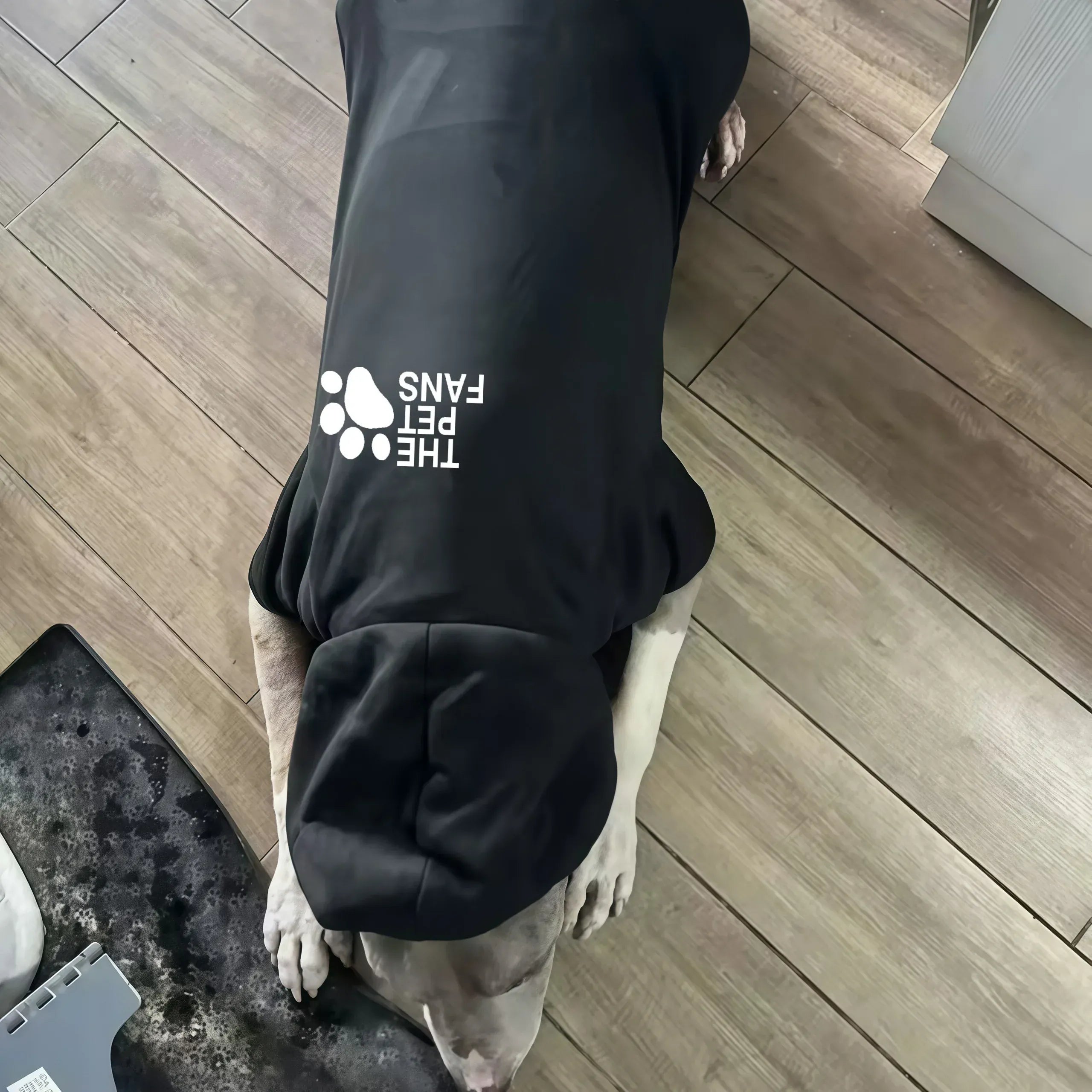 Winter Sports Dog Hoodie | Outdoor Warm Coat for Golden Retriever, Labrador & Large Dogs | Fashionable Autumn/Winter Pet Clothes