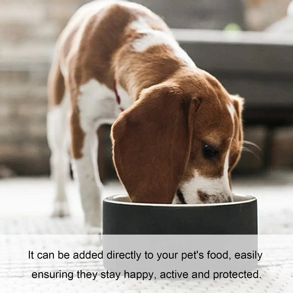 Yegbong Pet Health Drops - 50ml Multi-Vitamin Liquid for Cats & Dogs, Immune Support & Anxiety Relief Supplement for Puppies & Kittens